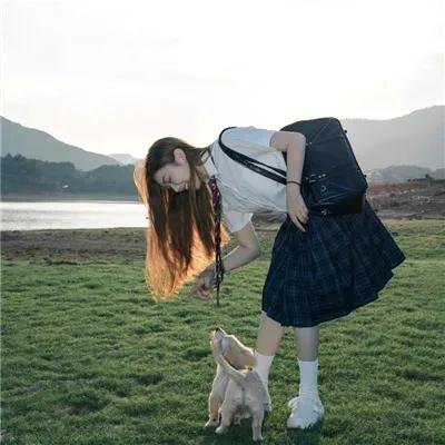萌犬好声音4